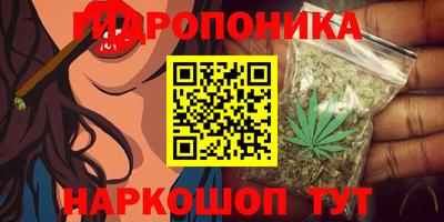 прущие грибы Будённовск