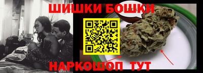 прущие грибы Будённовск