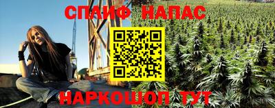 прущие грибы Будённовск