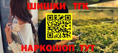 прущие грибы Будённовск