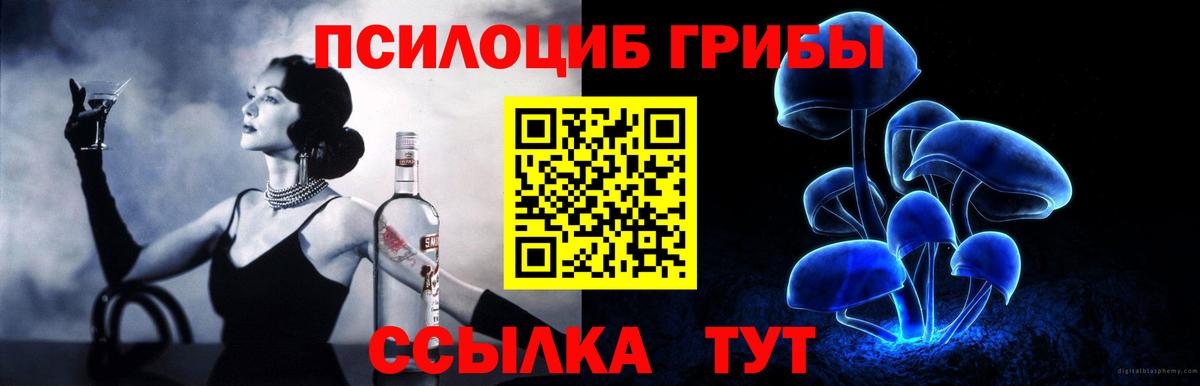 Рославль  Псилоцибиновые грибы Psilocybe  Галлюциногенные грибы MAGIC MUSHROOMS  Вход с VPN 